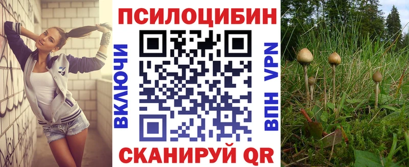 магазин продажи   Печора  Галлюциногенные грибы мухоморы 