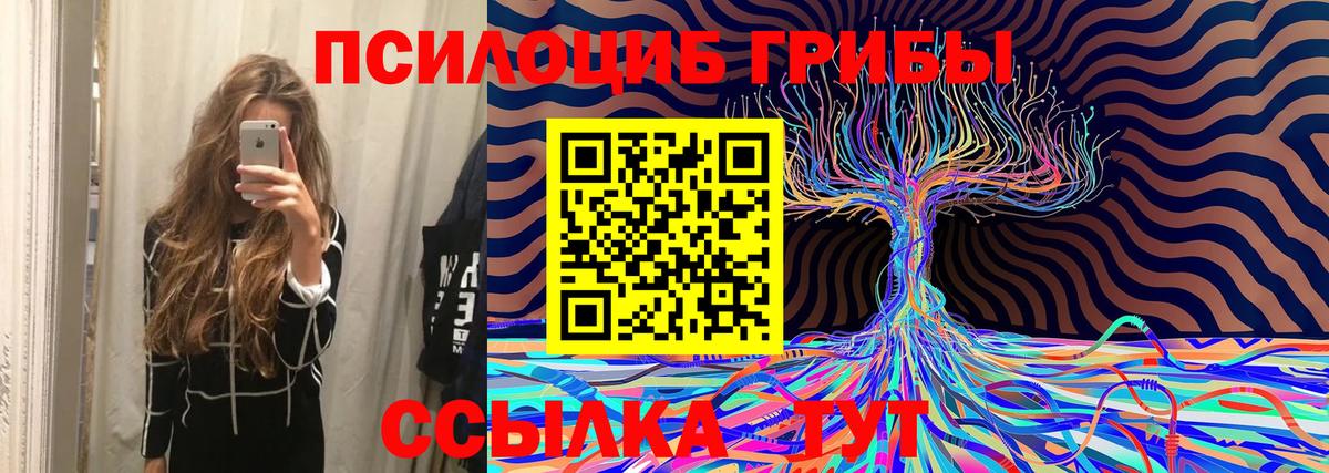 Печора  Галлюциногенные грибы мицелий  Вход с VPN  Псилоцибиновые грибы ЛСД 