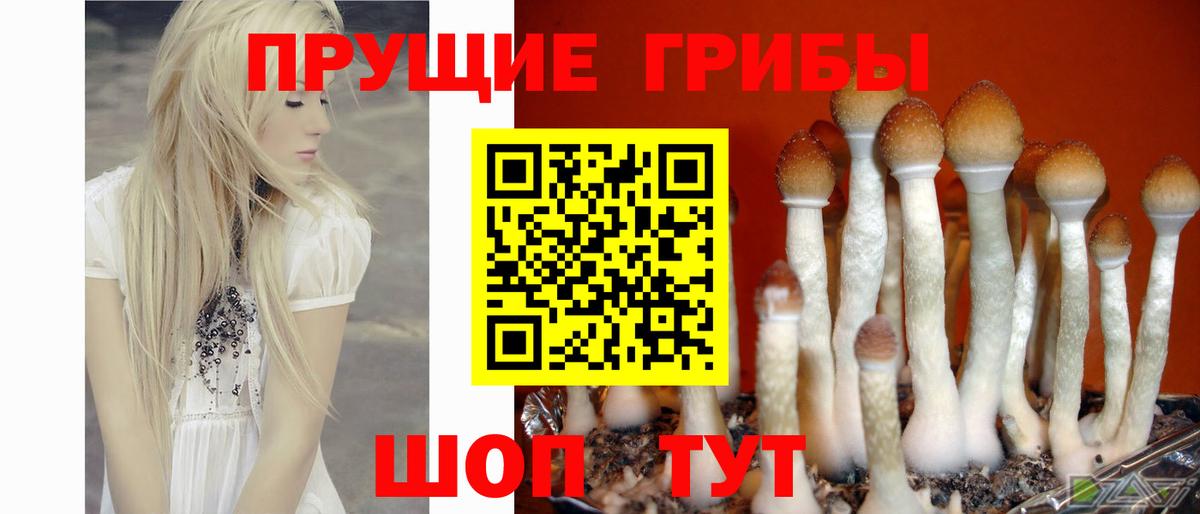 Псилоцибиновые грибы ЛСД Печора