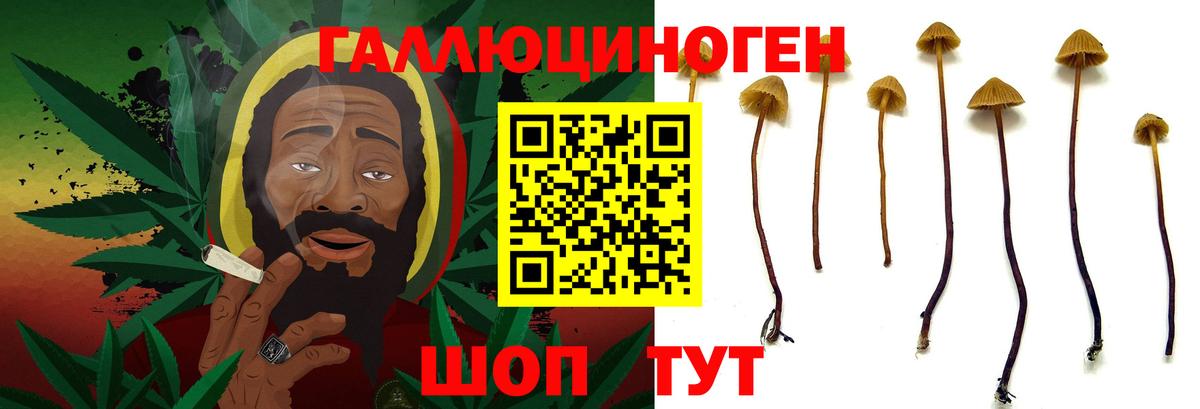 купить наркотики сайты  Вход с VPN  Печора  Псилоцибиновые грибы мицелий 